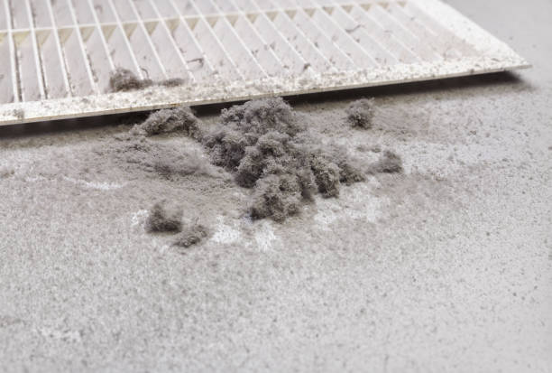 Best Air Duct Cleaning Near Me  in Hemlock, MI