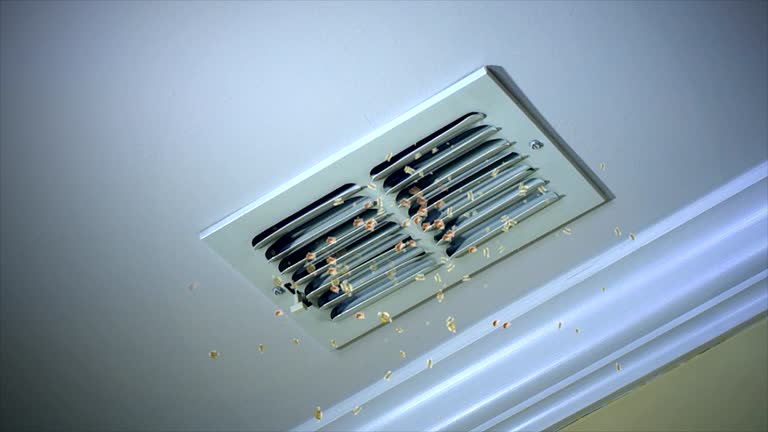 Best Air Duct Cleaning Company Near Me  in Hemlock, MI