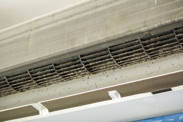 Best Ventilation Cleaning Services  in Hemlock, MI