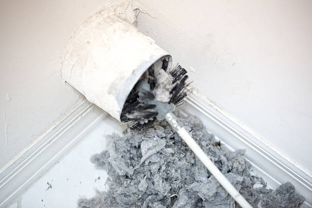 Best Affordable HVAC Duct Cleaning  in Hemlock, MI